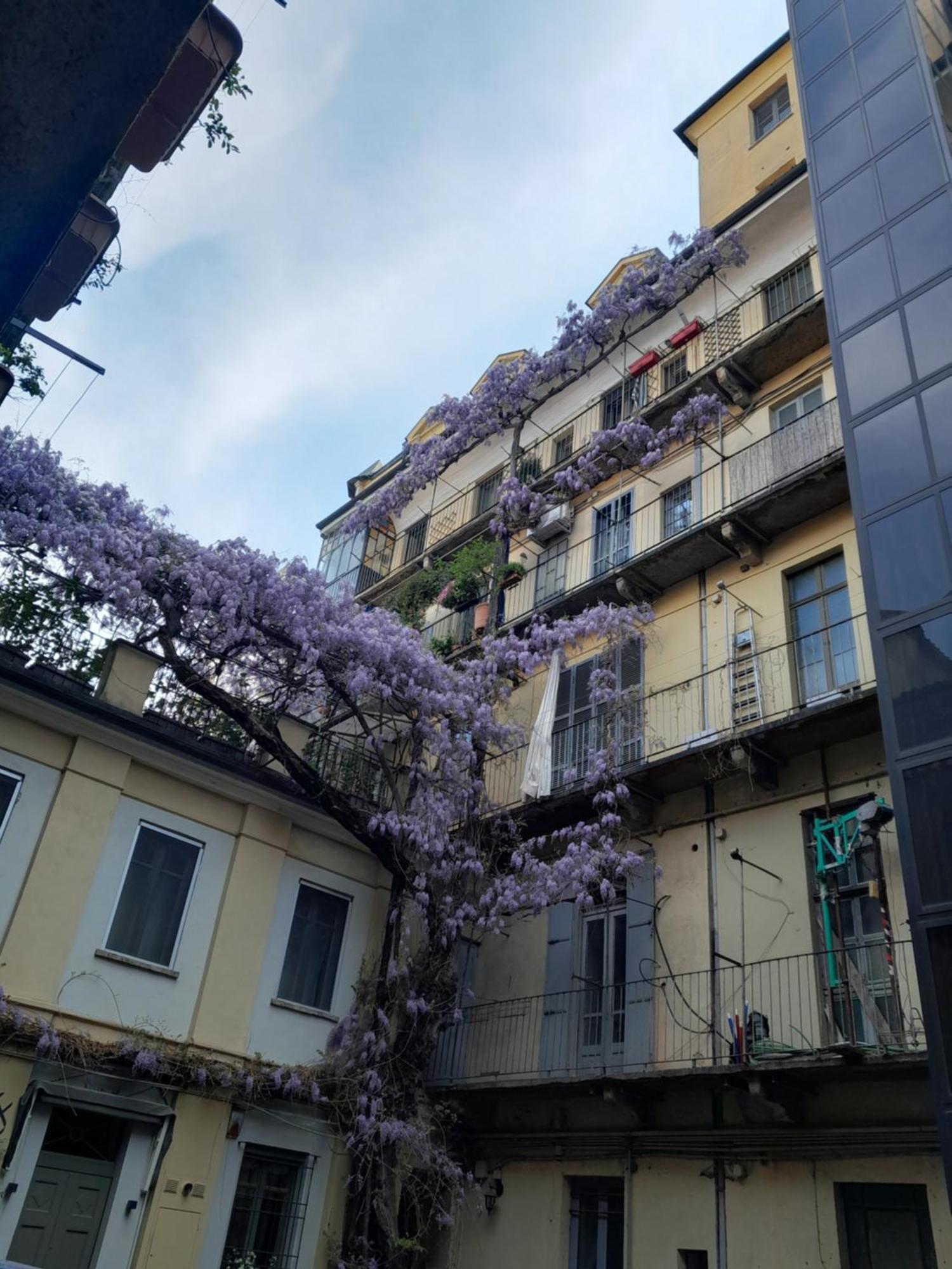 Alloggio Torino Inquadro Exteriör bild